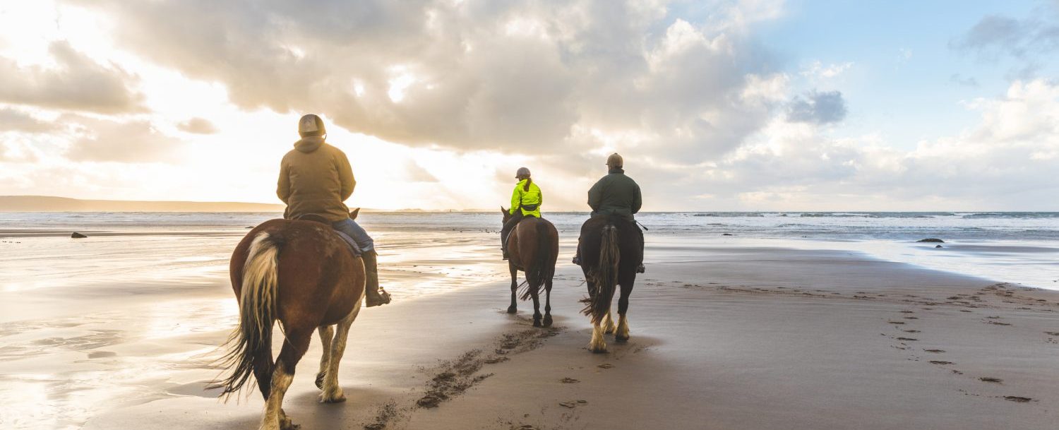 Everything You Need To Know About Horseback Riding In Cannon Beach People Horse Riding In Cannon Beach