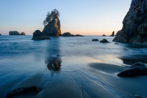 La Push Beach View at Dawn