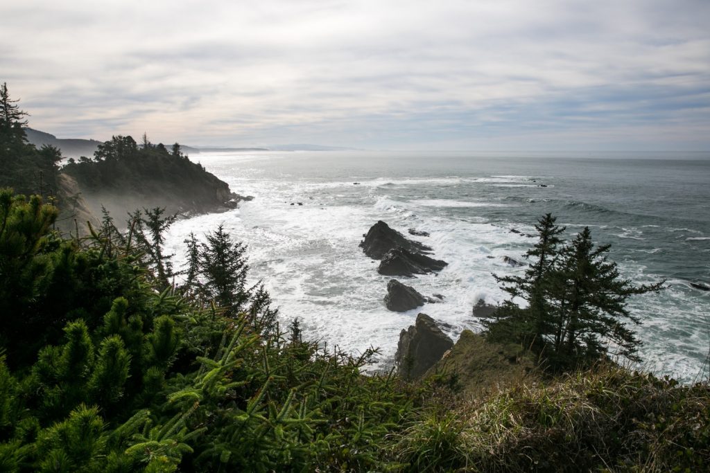 Oregon Coast view in the fog and overlooking the ocean