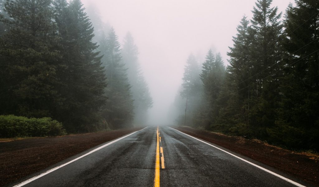 Endless road in the woods and fog in Oregon | Unplugged Getaway