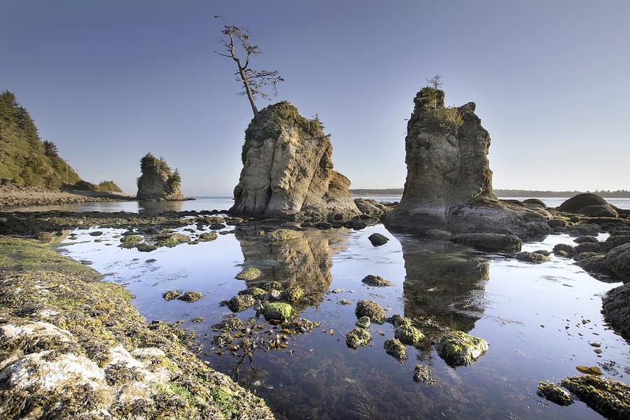 Tide Chart Arch Cape Oregon