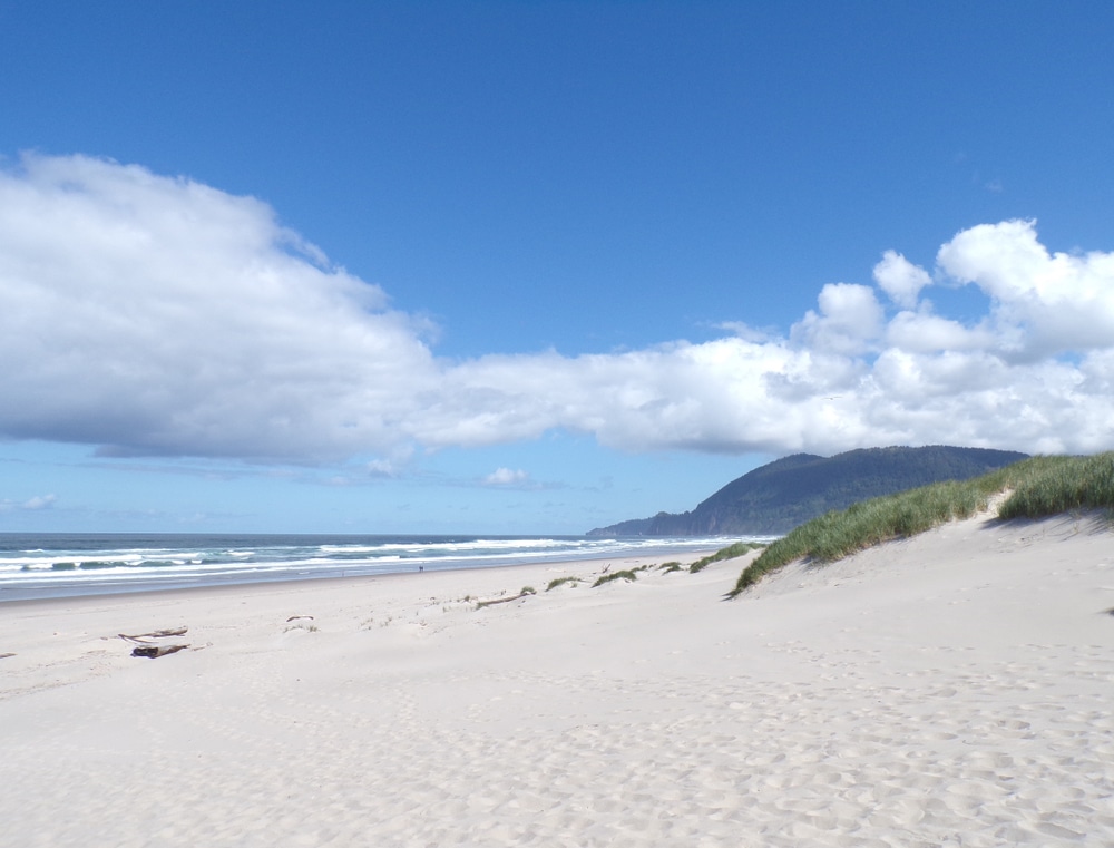 Nehalem Bay State Park is a beautiful place to spend a summer's day near our bed and breakfast on the Oregon Coast