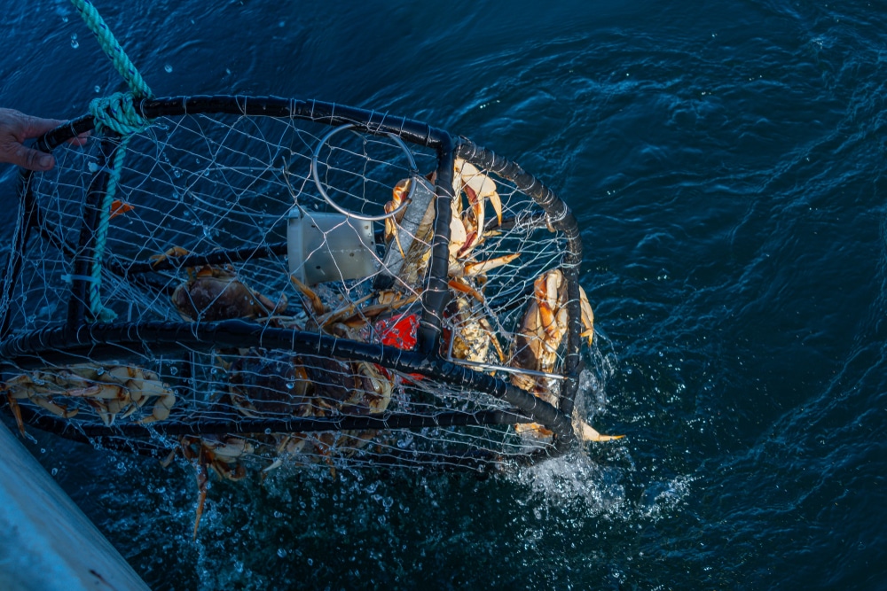 Fishing & Dungeness Crab Season on the Oregon Coast